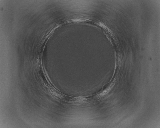 X0000072921353200608181240