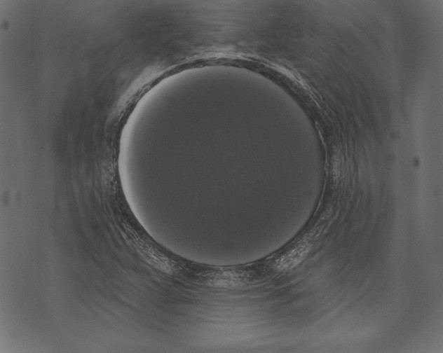 X0000072921359200608181240