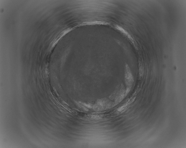 X0000072921361200608181240