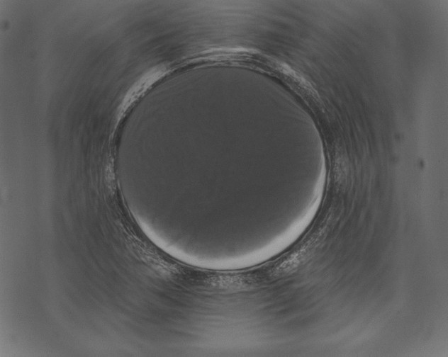 X0000072921362200608181240