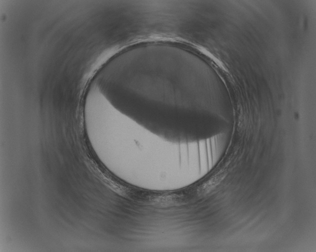 X0000072921367200608181240