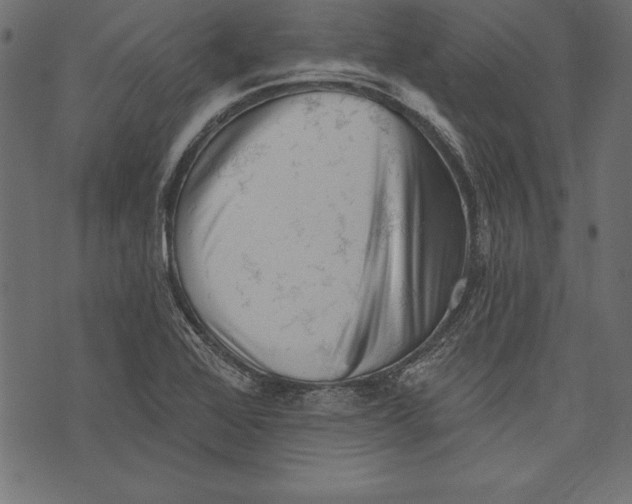 X0000072921368200608181240