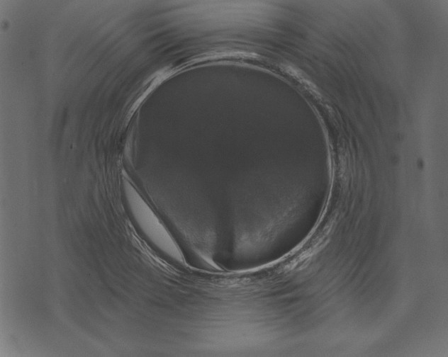 X0000072921369200608181240