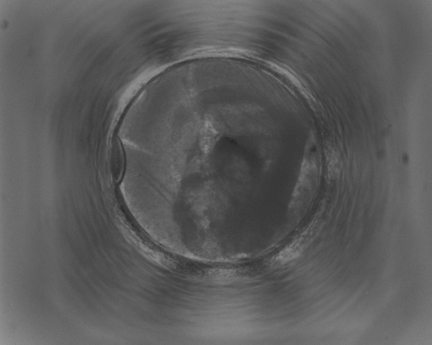 X0000072921371200608181240
