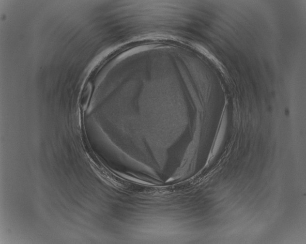 X0000072921372200608181240