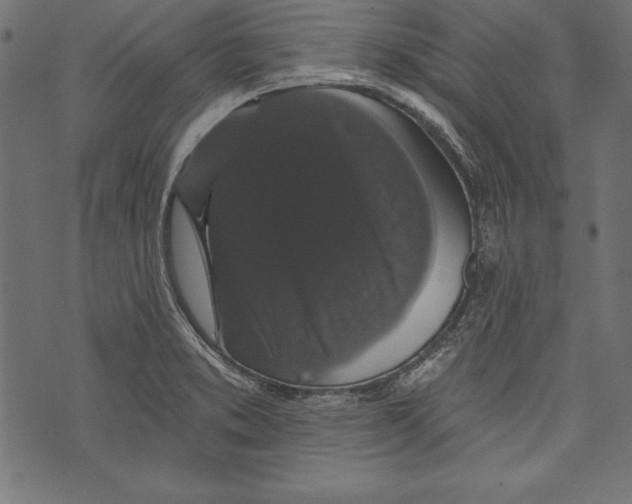 X0000072921373200608181240