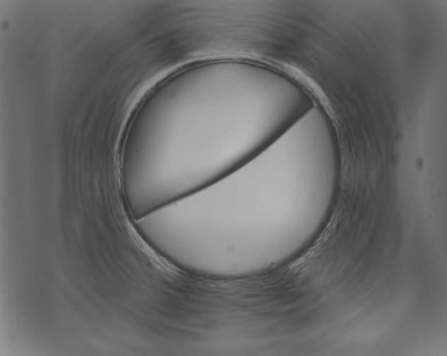 X0000072921380200608181240