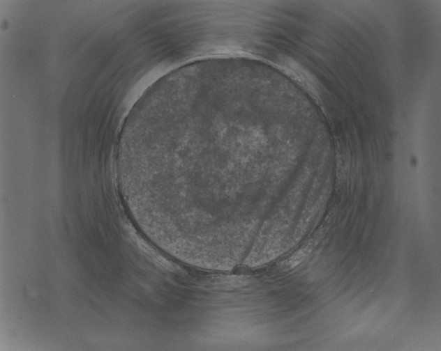 X0000072921382200608181240