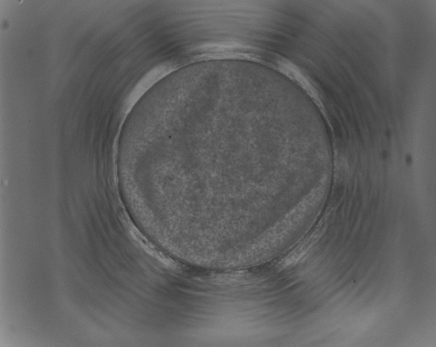 X0000072921386200608181240