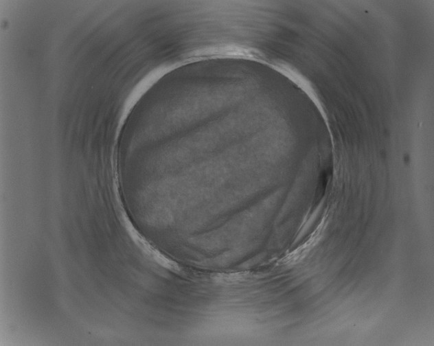 X0000072921389200608181240