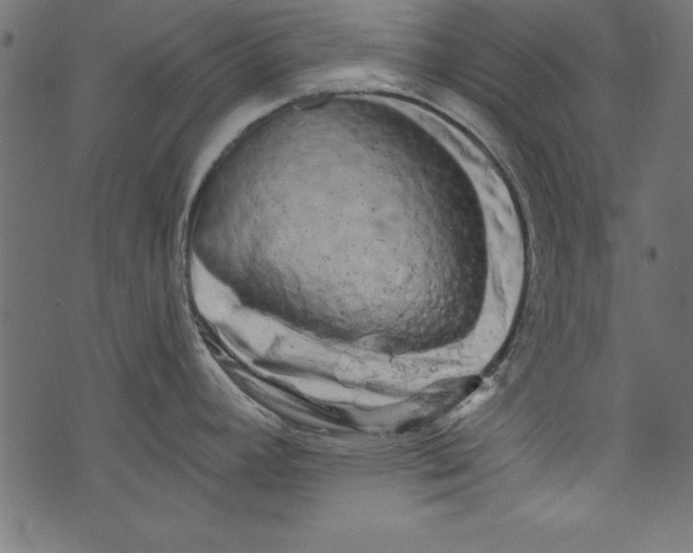 X0000072921392200608181240