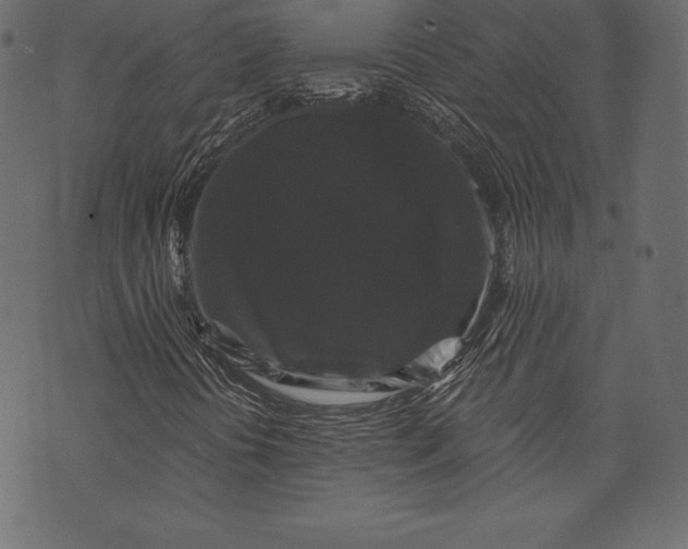 X0000072921394200608181239