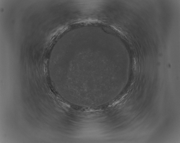 X0000072921398200608181239