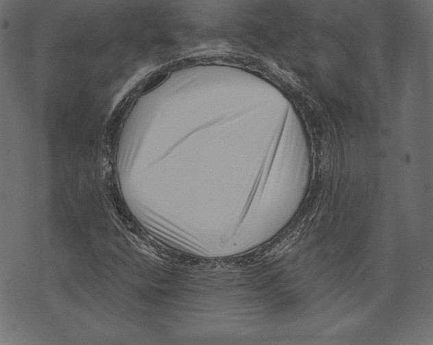 X0000072921400200608181239