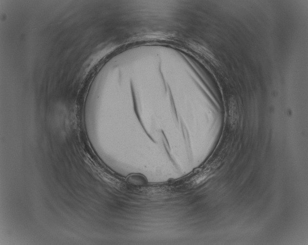 X0000072921404200608181239