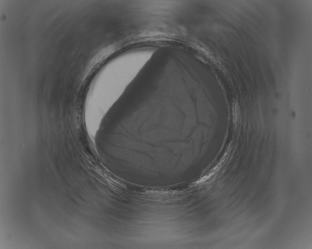 X0000072921405200608181239