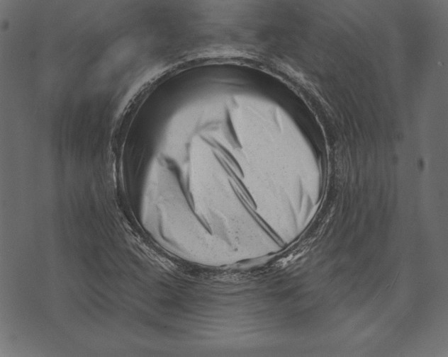 X0000072921408200608181239