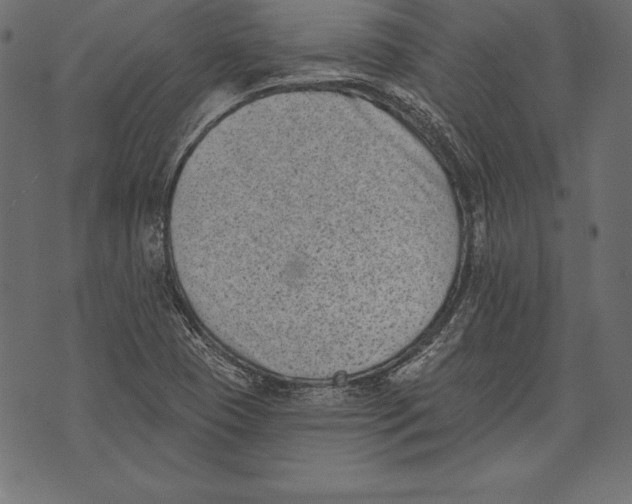 X0000072921409200608181239