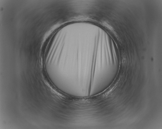 X0000072921414200608181239