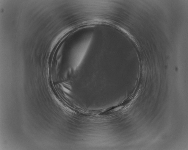 X0000072921418200608181239