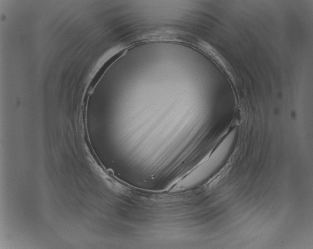 X0000072921434200608181240
