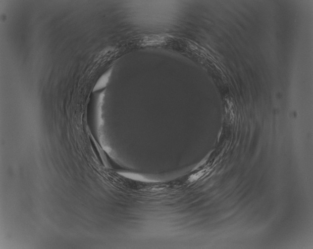 X0000072921441200608181239