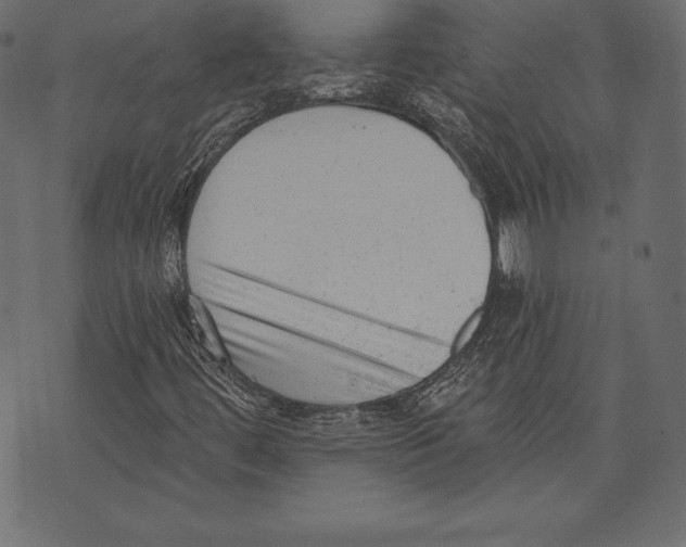 X0000072921444200608181239