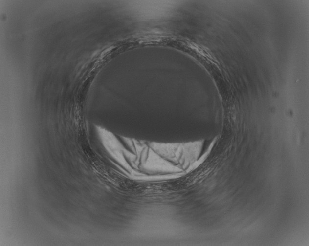 X0000072921445200608181239