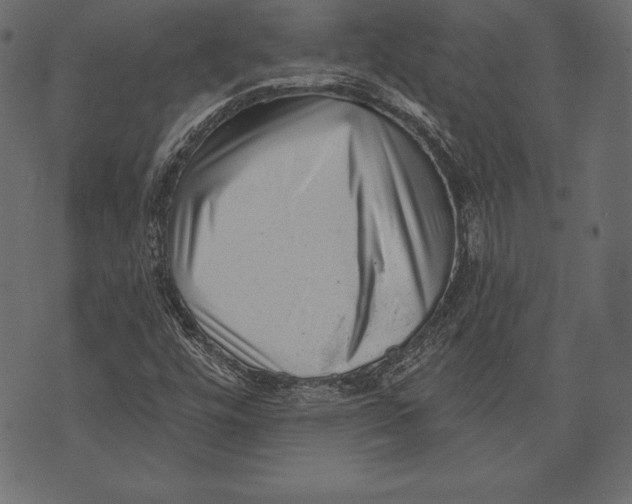 X0000072921448200608181239