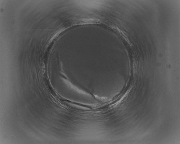 X0000072921449200608181239