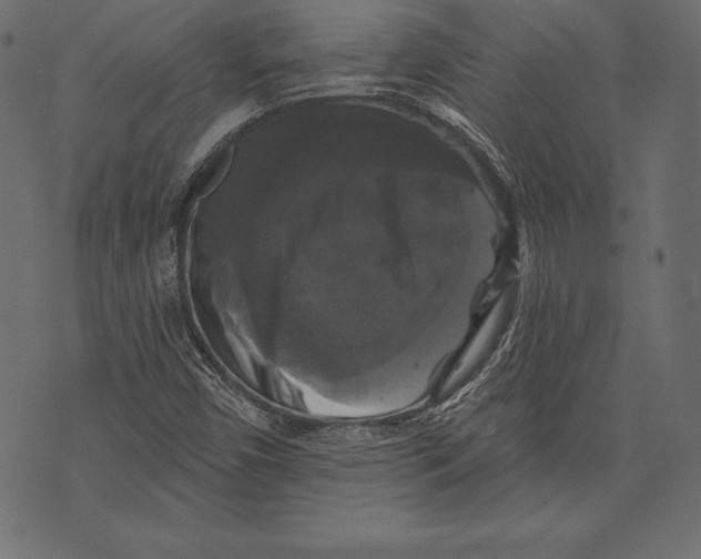 X0000072921450200608181239