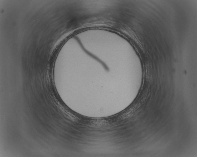 X0000072921452200608181239