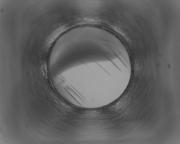 X0000072921455200608181239