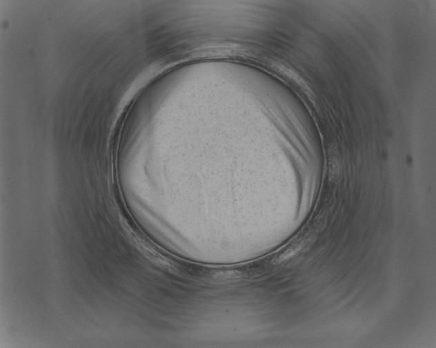 X0000072921467200608181239