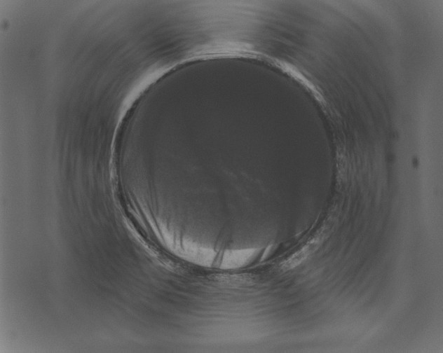 X0000072921469200608181239