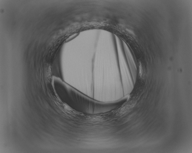 X0000072921492200608181237