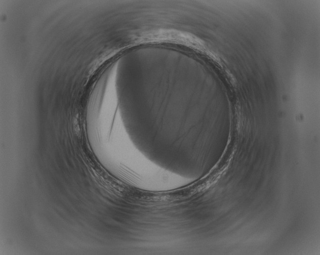X0000072921497200608181238