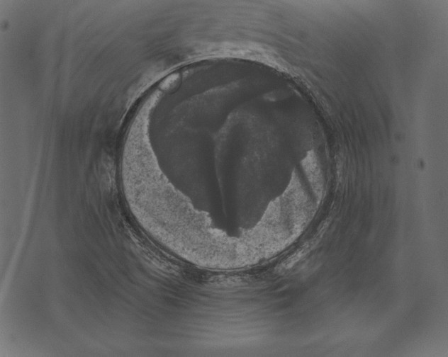 X0000072921505200608181238