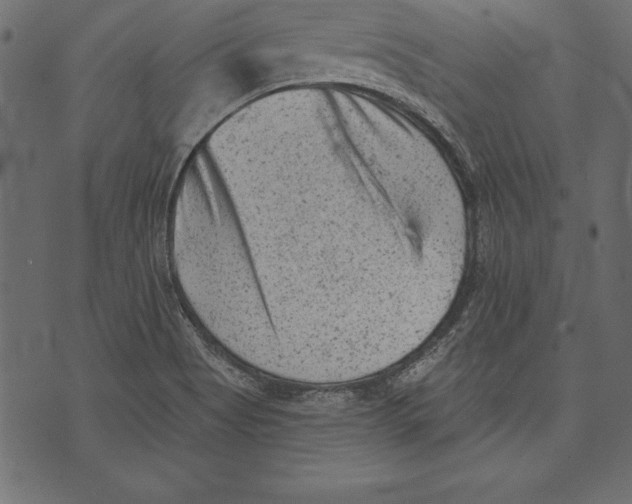 X0000072921513200608181238