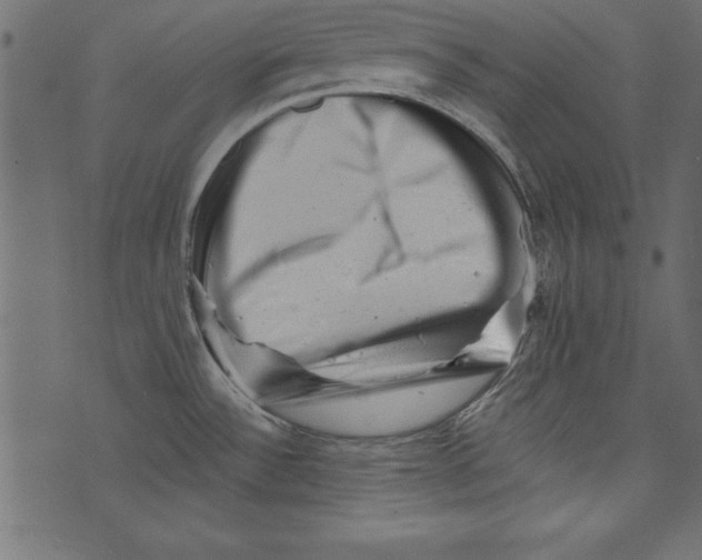 X0000072921532200608181238