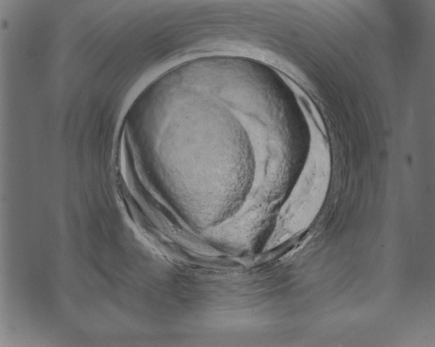 X0000072921536200608181238