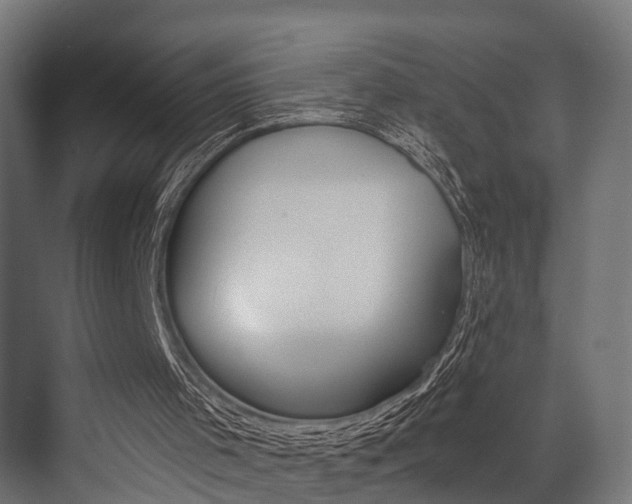 X0000072930001200607210944