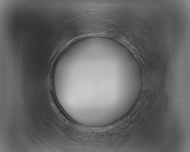 X0000072930002200607210944