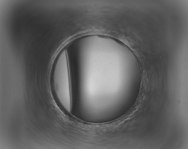 X0000072930007200607210944