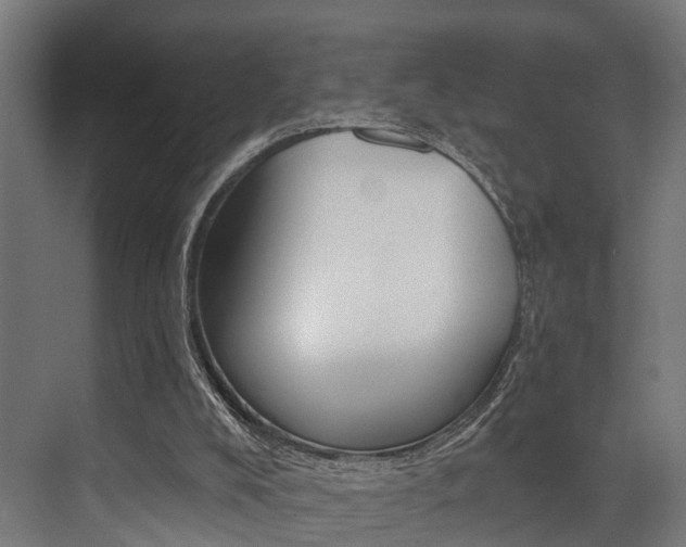 X0000072930008200607210944