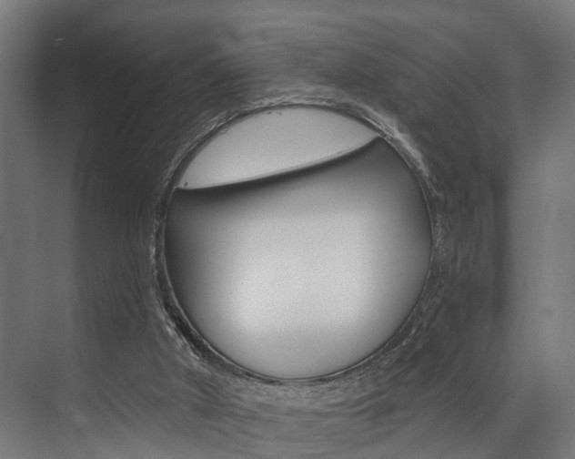 X0000072930010200607210944