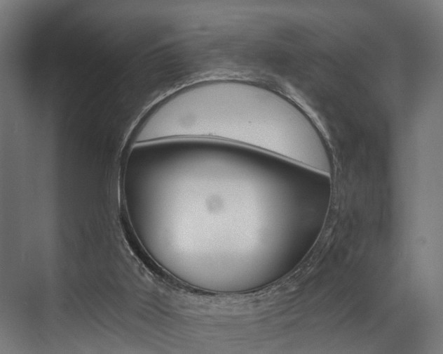X0000072930011200607210944