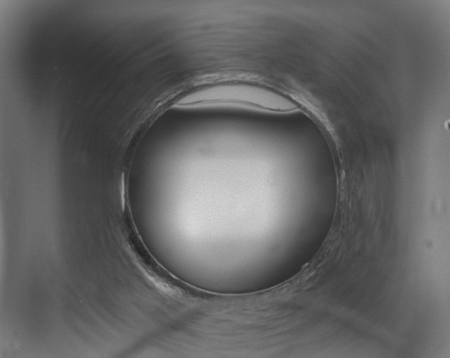 X0000072930013200607210944