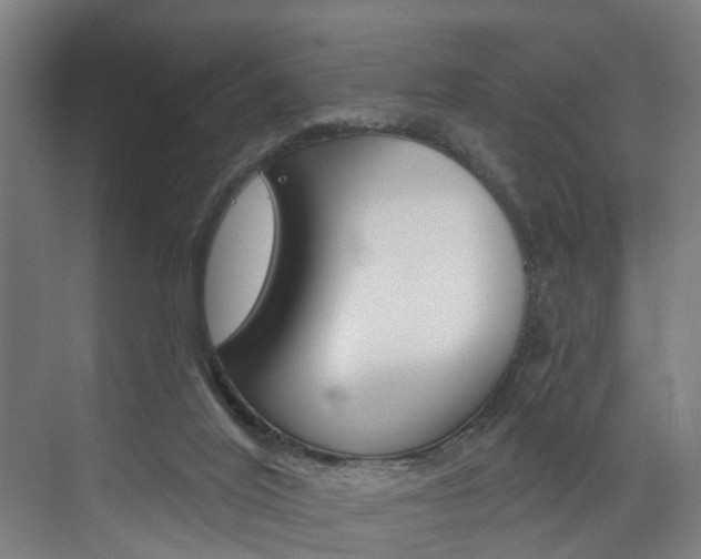 X0000072930020200607210943