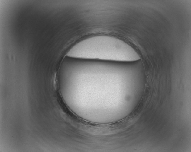 X0000072930024200607210943